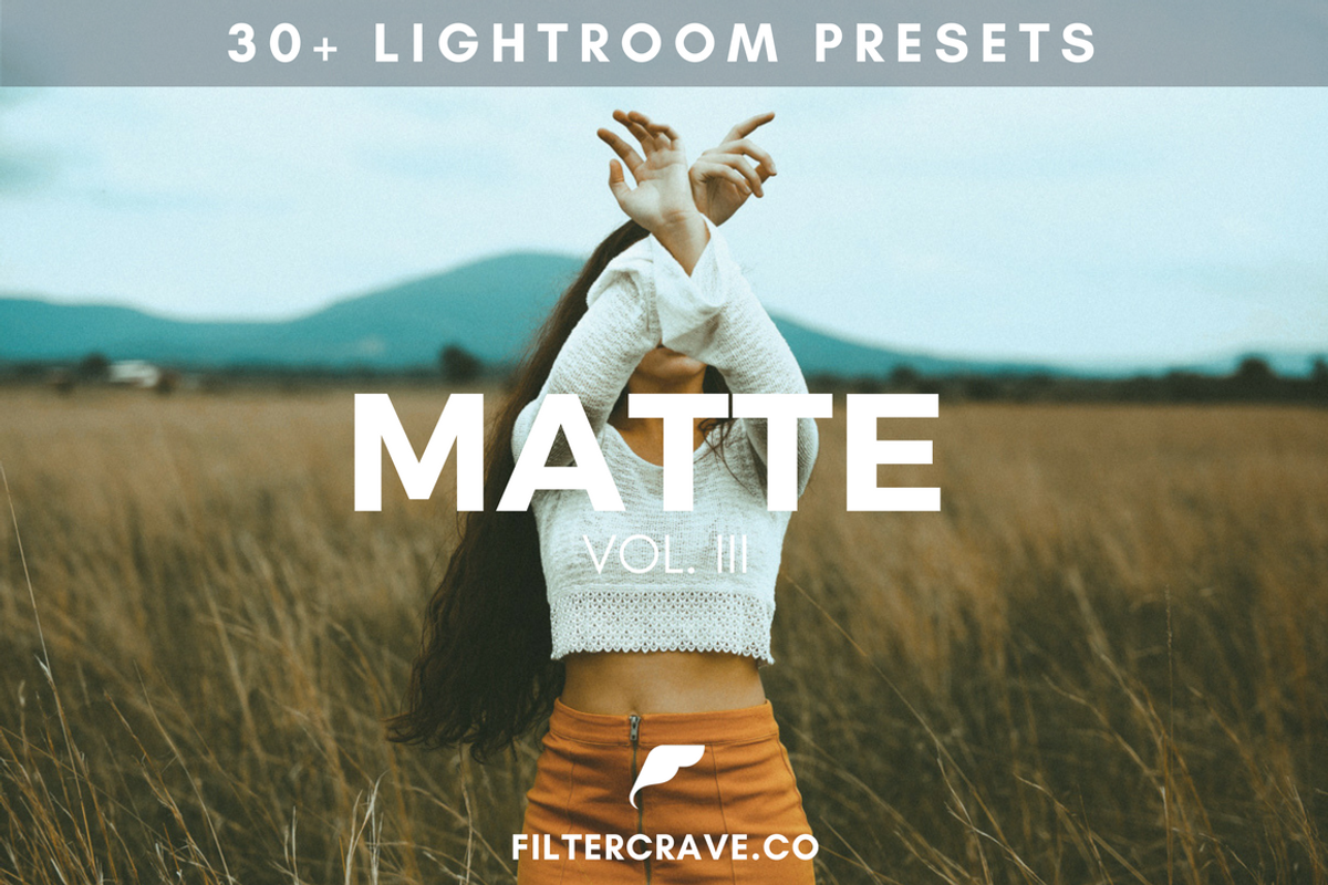 30+ Matte Lightroom Presets Vol. II preview 8