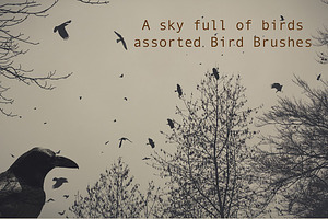 Bird Brushes - A Sky Full Of Birds