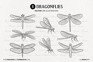 Dragonfly Vector Line Art Set