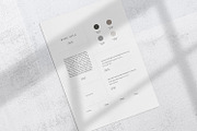 Branding Kit, a Branding & Logo Template by The Denizen Co. (Thumbnail 7 of 9)