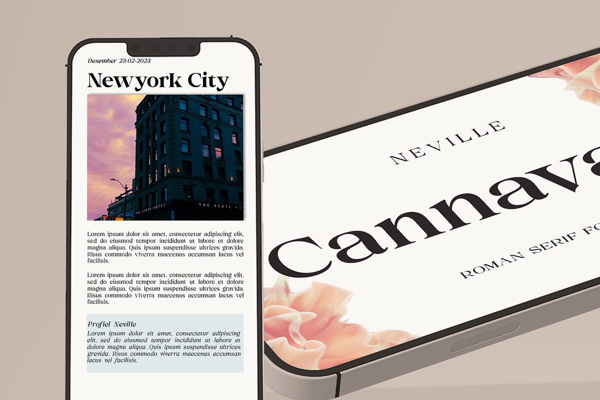 Melville Text - Roman Serif Family, a Serif Font by LuhopCreative (Photo 8 of 14)