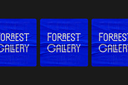 Forrest Gallery Modern Display Font, a Sans Serif Font by Lettertype Studio (Thumbnail 2 of 15)