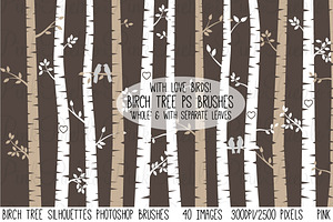 Birch Tree Photoshop Brushes