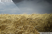 Vignettes Galore Lightroom Presets, an Action Add-On by Click Click Studio (Thumbnail 3 of 5)