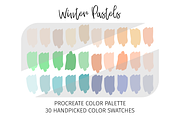 Procreate Winter Color Palettes, a Palette Add-On by STUDIO 17 (Thumbnail 5 of 10)