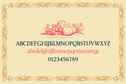 Wagner 1941 Vintage Antique font, a Serif Font by Jeffry Macpherson Visuals (Thumbnail 2 of 5)