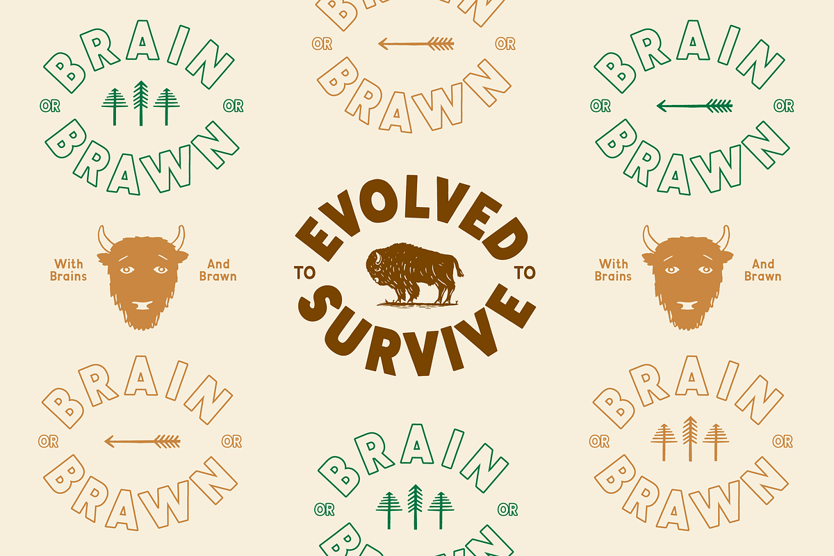 Evolved Font Family preview 5