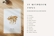 Mushroom illustration. Fungi clipart, a Food Illustration by Diana Askarova Art (Thumbnail 2 of 6)