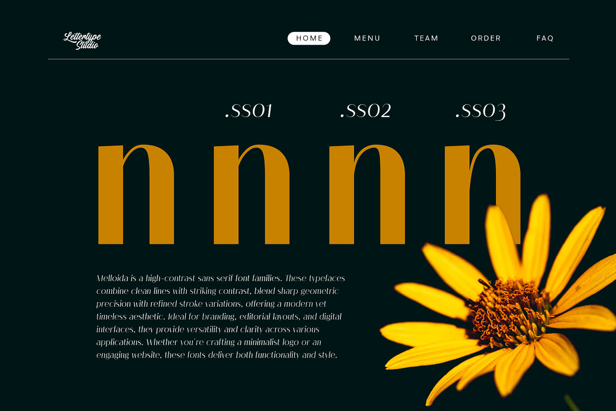 Melloida High Contrast Sans Family, a Sans Serif Font by Lettertype Studio (Photo 3 of 15)