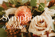 Lanson Font Family, a Sans Serif Font by Larin Type Co. (Thumbnail 7 of 15)