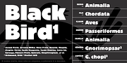Graúna, a Sans Serif Font by Typeóca (Thumbnail 3 of 9)