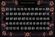 Silver Shard Typeface, a Blackletter Font by alit design (Thumbnail 19 of 20)