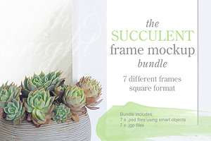 Succulent frame mockup bundle 001