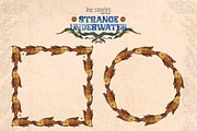 Enchanted Sea Bundle Fantasy Marine, an Animal Illustration by Ink Stories (Thumbnail 49 of 54)