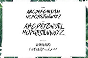 Banis Bush Font, a Font by Maxim apperian (Thumbnail 5 of 6)