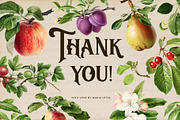 Vintage harvest fruits collection, a Pattern Graphic by Beauty Drops (Thumbnail 9 of 9)
