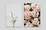 Lifestyle Bundles Collection 3, a Photo by Floral Deco (Thumbnail 30 of 48)