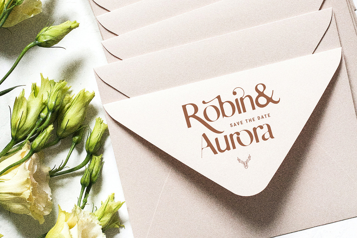skylar - ligature sans font family, a Sans Serif Font by SilverStag Type Foundry (Photo 13 of 20)