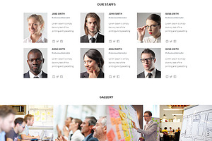 Indigo Biz Responsive One Page Theme