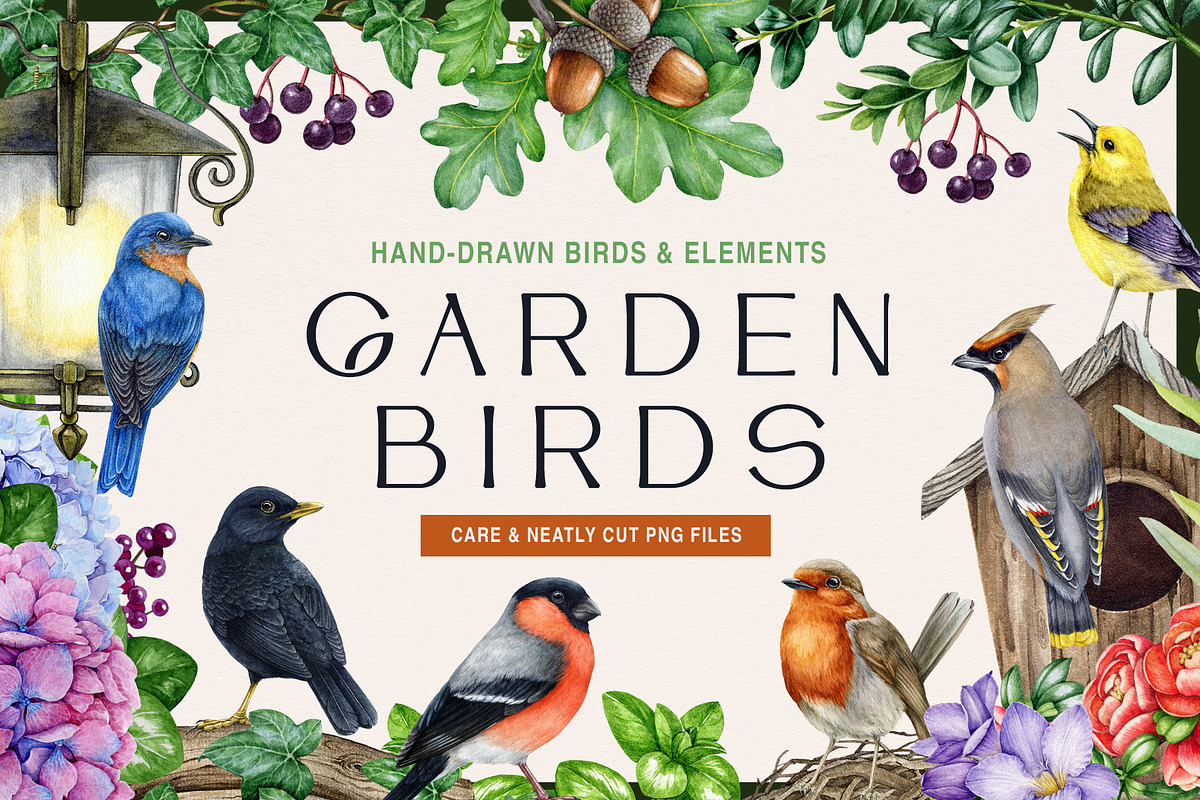 Garden Birds Watercolor Painted Set, an Animal Illustration by AnitaPol (Photo 1 of 21)