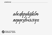 Nimbus Whale - Script Font, a Script Font by HanzelSpace Studio (Thumbnail 13 of 15)