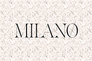 Voxas | 54 Font Serif, a Serif Font by Anthony James (Thumbnail 3 of 22)