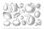 Fruits collection, an Object Graphic by Siosay (Thumbnail 4 of 8)