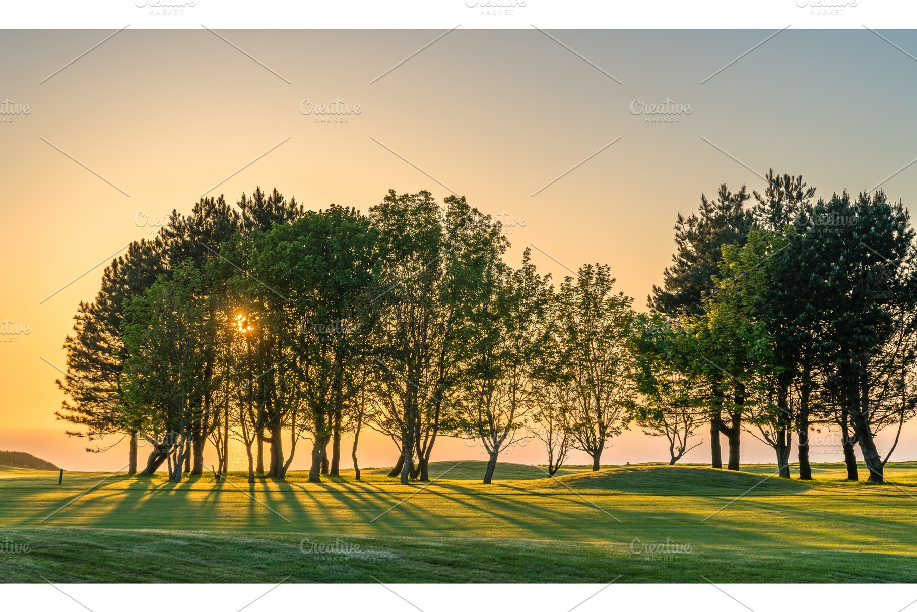Sunrays penetrate through the trees containing sun, sunset, and nature, a Nature Photo by Leonid Andronov
