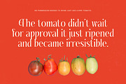 Fading Husker Modern Serif Font, a Serif Font by timelesstype.co (Thumbnail 3 of 20)