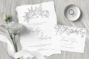Elegant floral collection.Line art, a Decorative Illustration by Vera●Suleimanova (Thumbnail 4 of 15)