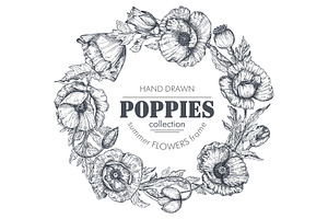 Vector Poppy Flowers Set