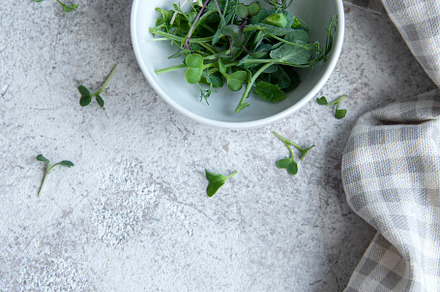 Assortment of micro greens on concrete background, a Food & Drink Photo by Olena Rudo