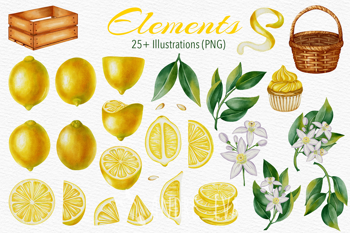 Lemon — Watercolor Illustration Set, a Food Illustration by Andre_Eva (Photo 2 of 12)