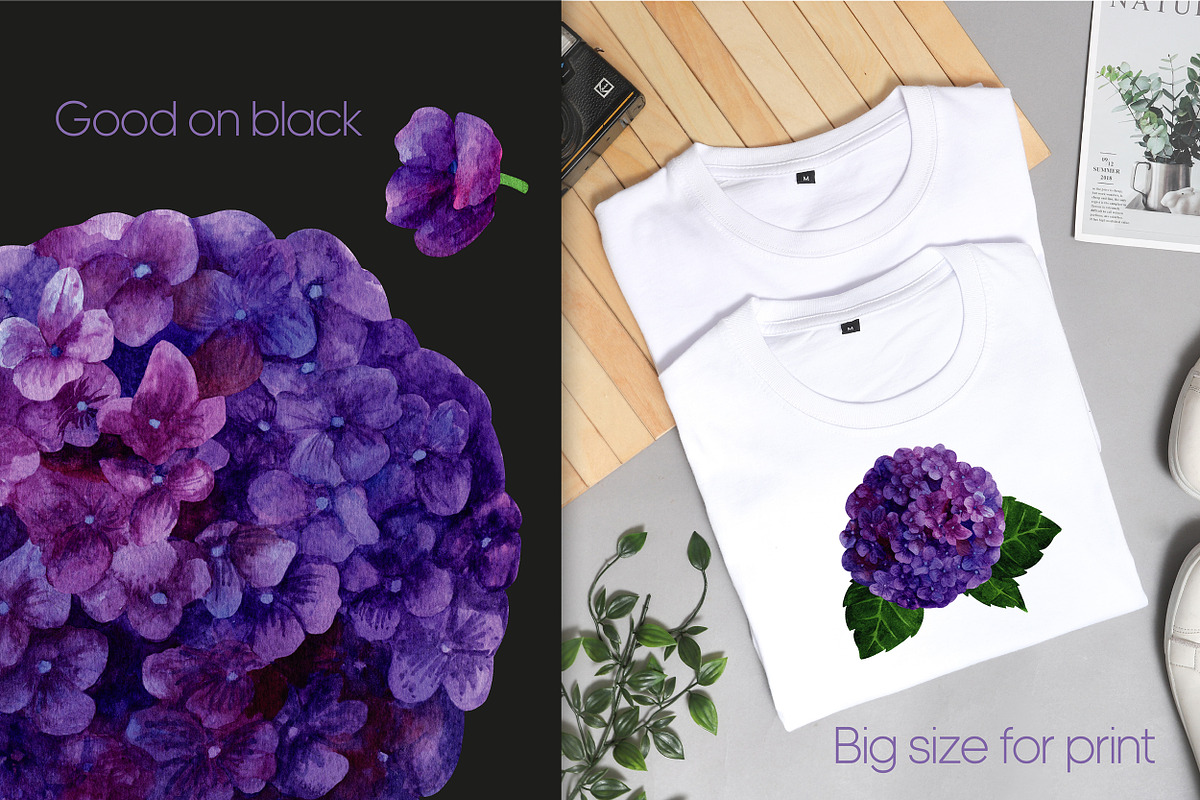 Hydrangea watercolor clipart PNG, an Illustration by Anntre (Photo 3 of 3)