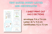 Letter from Easter Bunny #5 - Canva, a Templates & Theme by Adalin Shop (Thumbnail 7 of 11)