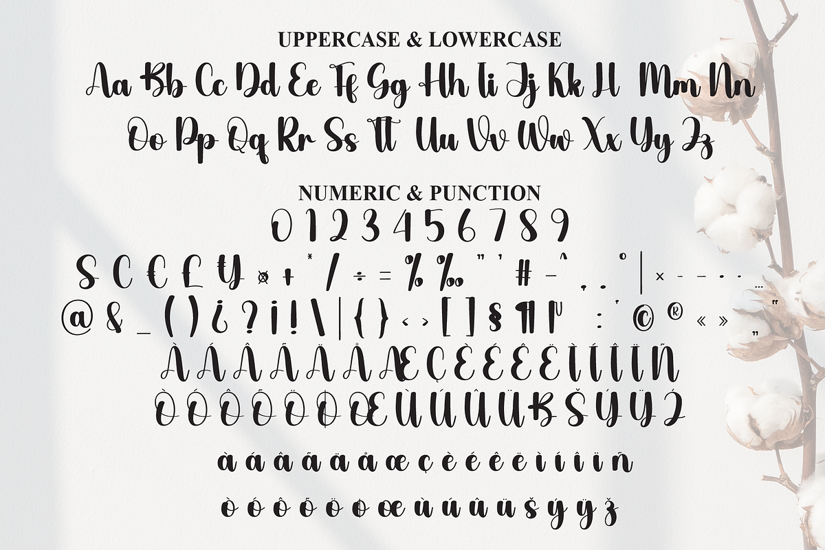 Amateur | Script Font, a Handwritten Font by Scratchones (Photo 7 of 9)