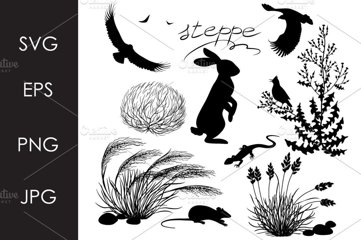 Steppe Plants and Animals, an Animal Illustration by Valentyna Smordova
