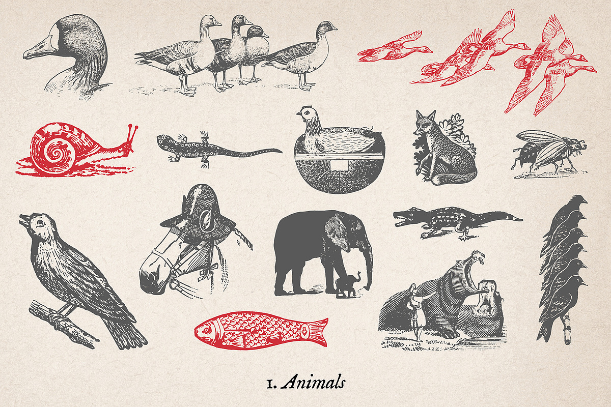 146 Vintage Illustrations, an Object Illustration by Polymath (Photo 4 of 14)