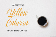 Delphin Spring - Vintage Script, a Script Font by Konstantine Studio (Thumbnail 2 of 9)