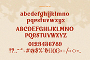 Vigallse - Vintage Modern Serif, a Serif Font by Krakenbox Studio (Thumbnail 11 of 14)