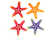 sea shell and star fish icon element, an Object Graphic by Propylparaben (Thumbnail 5 of 5)