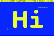 SG - MONOCOMIC, a Sans Serif Font by Studio Gulden (Thumbnail 3 of 20)