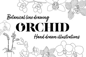 Botanical Line Drawing-ORCHID