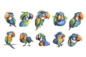 Parrots cartoon characters. Isolated, an Animal Illustration by Valerie Bodnar