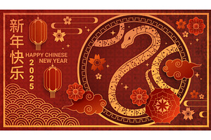 Year of the Snake 2025. New Year, a Texture Illustration by Elegant Solution