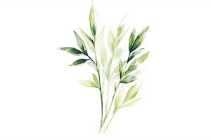 Delicate watercolor green leaves, a Nature Photo by MistyDay
