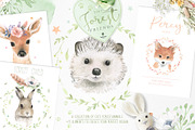 watercolor forest animal portraits, an Animal Illustration by beehouse studio (Thumbnail 1 of 11)