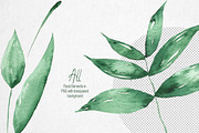 FANCY Green Collection %50 OFF, an Object Illustration by 2MK (Thumbnail 11 of 15)