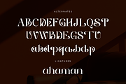 Ethereal Havena - Beauty Typeface, a Serif Font by RagamKata (Thumbnail 8 of 10)