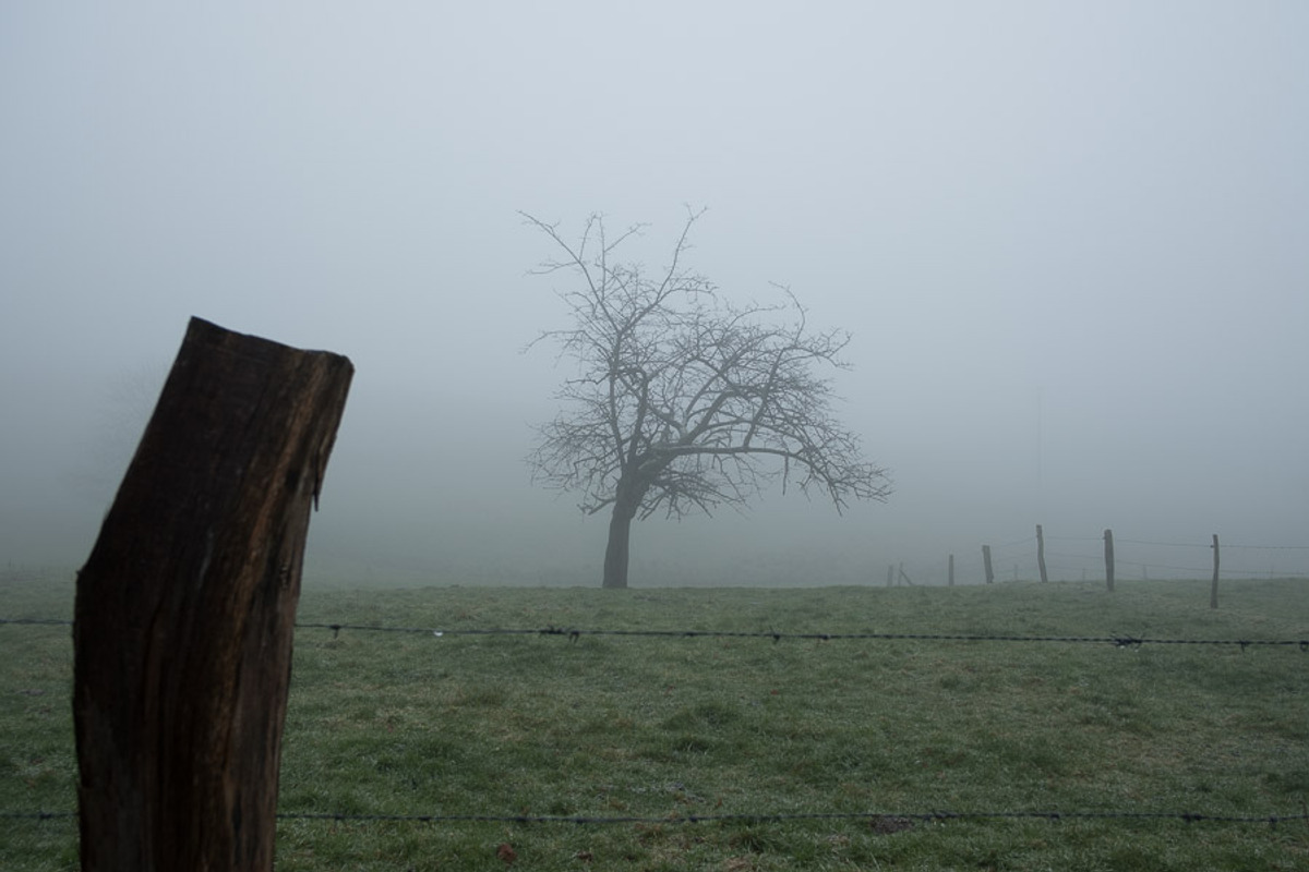 Foggy Day Lightroom Preset, an Action Add-On by Daniel Bartel (Photo 2 of 7)